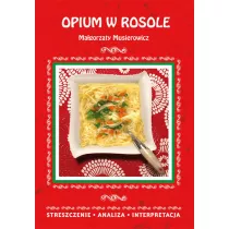 Opium w rosole Magorzaty Musierowicz. Streszczenie, analiza, interpretacja
