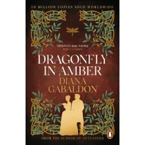 Dragonfly In Amber