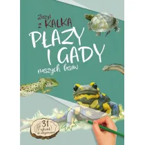 Pazy i Gady naszych lasw. zeszyt z kalk
