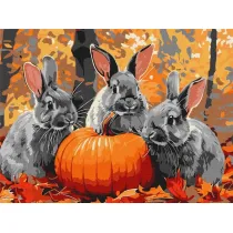 Ideyka Malowanie po numerach - Przygody z kr�likiem 30x40cm
