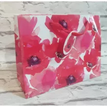 Torebka prezentowa 17x22.5x9 cm