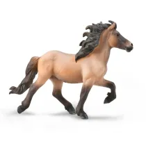 Icelandic Stallion Bay Dun