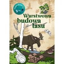Kolorowanka. Warstwowa budowa lasu