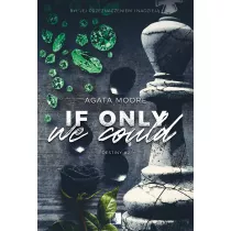 If Only We Could. Destiny. Tom 2