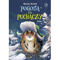 Pogoda dla puchaczy. Zima