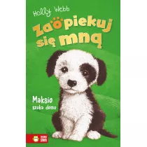 Maksio szuka domu. Zaopiekuj si mn