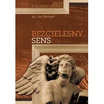 Bezcielesny sens. Szkice z filozofii kultury