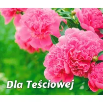 Dla te�ciowej. Pere�ka