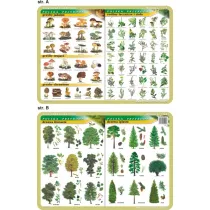 Visual System Podkadka edukacyjna. Grzyby, roliny lecznicze
