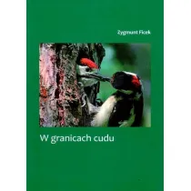 W granicach cudu