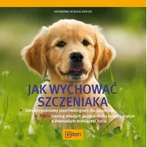 Jak wychowa szczeniaka