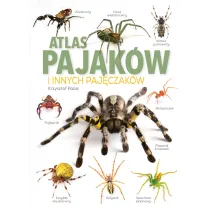 Atlas paj�k�w i innych paj�czak�w