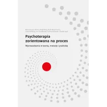 Psychoterapia zorientowana na proces. Wprowadzenie w teori�, metody i praktyk�