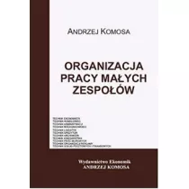 Organizacja pracy maych zespow