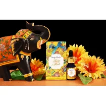 Song Of India Olejek zapachowy - Ivory Musk 10 ml