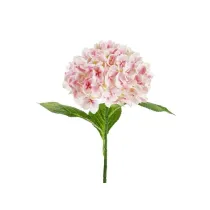Hortensja Premium rowa 69cm