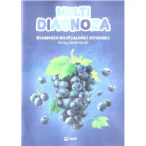 Multidiagnoza. Diagnoza dojrza�o�ci szkolnej KO