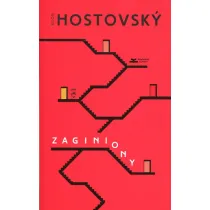 Zaginiony