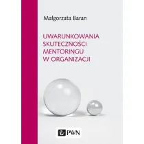 Uwarunkowania skuteczno�ci mentoringu w organizacji