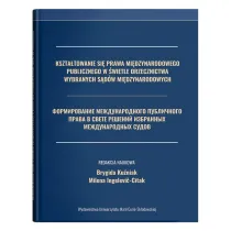 Kszta�towanie si� prawa mi�dzynarodowego publicznego w �wietle orzecznictwa wybranych s�d�w mi�dzynarodowych