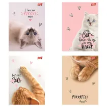 St. Majewski Zeszyt A5 60 kartek linia. Ok�adka laminowana lakier miejscowy UV 70 g/m2. Purrfect Moments