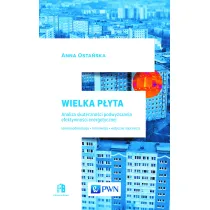 Wielka P�yta