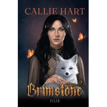 Fae & Alchemy. Brimstone. Tom 2