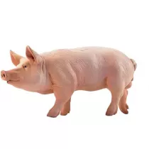 Knur