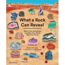 What a Rock Can Reveal. Where They Come From And What They Tell Us About Our Planet