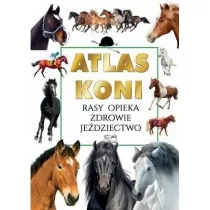 Atlas koni
