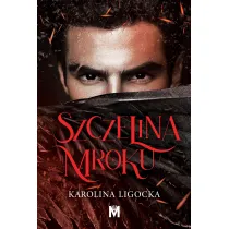 Szczelina mroku. Historia Naridy. Tom 2