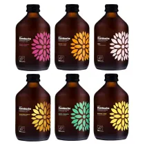 Vigo Yoko Kombucha bezglutenowa - mix smak�w Zestaw 6 x 330 ml Bio