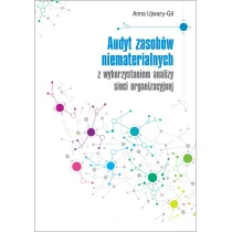 Audyt zasob�w niematerialnych z wykorzystaniem analizy sieci organizacyjnej