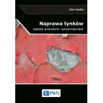 Naprawa tynk�w. Aspekty budowlane i konserwatorskie