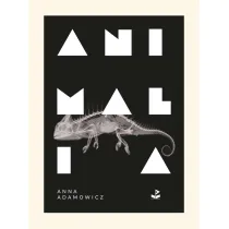 Animalia