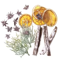 Dalprint Naturalne elementy