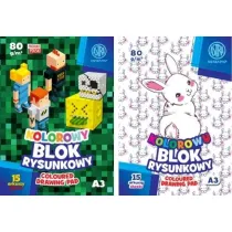 Astra Blok rysunkowy kolorowy A3 barwiony w masie 15 kartek