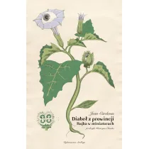 Diabe� z prowincji