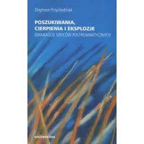 Poszukiwania, cierpienia i eksplozje. Dwana�cie szkic�w postromantycznych