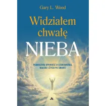 Widzia�em chwa�� Nieba