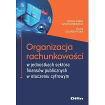 Organizacja rachunkowo�ci w jednostkach sektora finans�w publicznych w otoczeniu cyfrowym