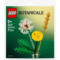LEGO Botanicals Kwiaty polne 30701