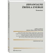 Odnawialne �r�d�a energii. Komentarz