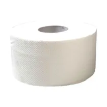 Mp Papier Papier toaletowy celuloza Biay Jumbo 2W 160M TC19 12 szt.