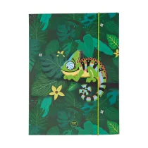 Patio Teczka kartonowa z gumk� A4 Coolpack Tropic