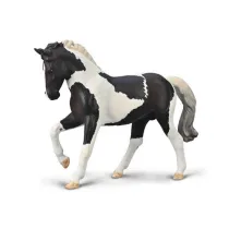 Ogier ciepokrwisty Czarny Tobiano