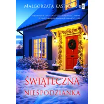 �wi�teczna niespodzianka