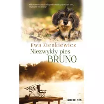 Niezwyky pies Bruno
