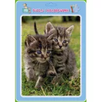 Puzzle w ramce z kolorowank�. Koty MD Creative
