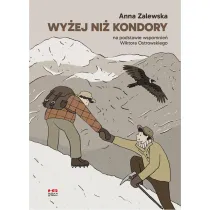 Wy�ej ni� kondory